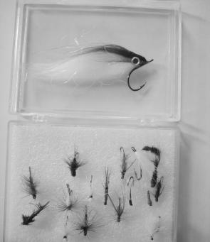 Smaller fly patterns are the go for trout over the next couple of months. The polar fibre minnow shows the difference.